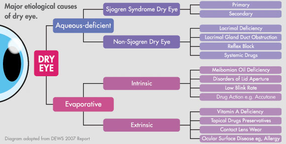 Major etiological causes of dry eye